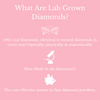 Six Claw Diamond Pendant (Lab Grown Diamond)